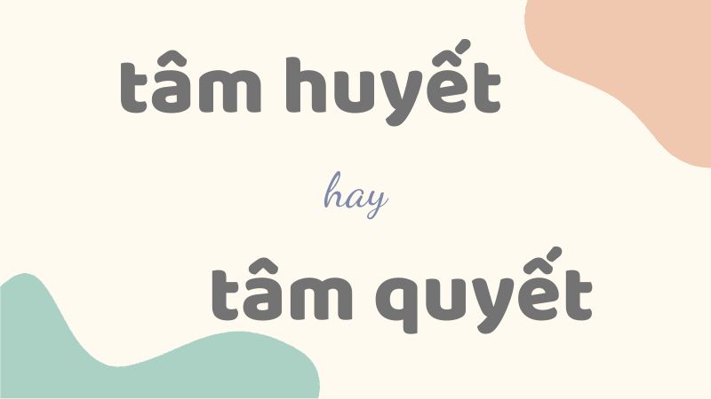 Tâm huyết hay tâm quyết và cách dùng từ chuẩn trong tiếng Việt