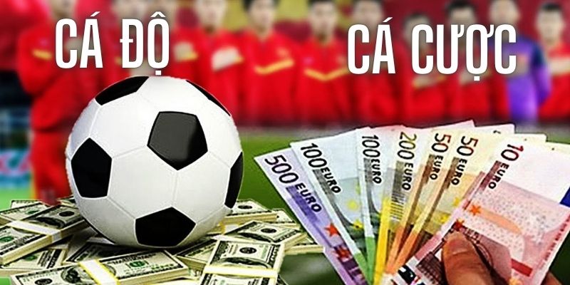 Cá độ và cá cược đều đúng chính tả